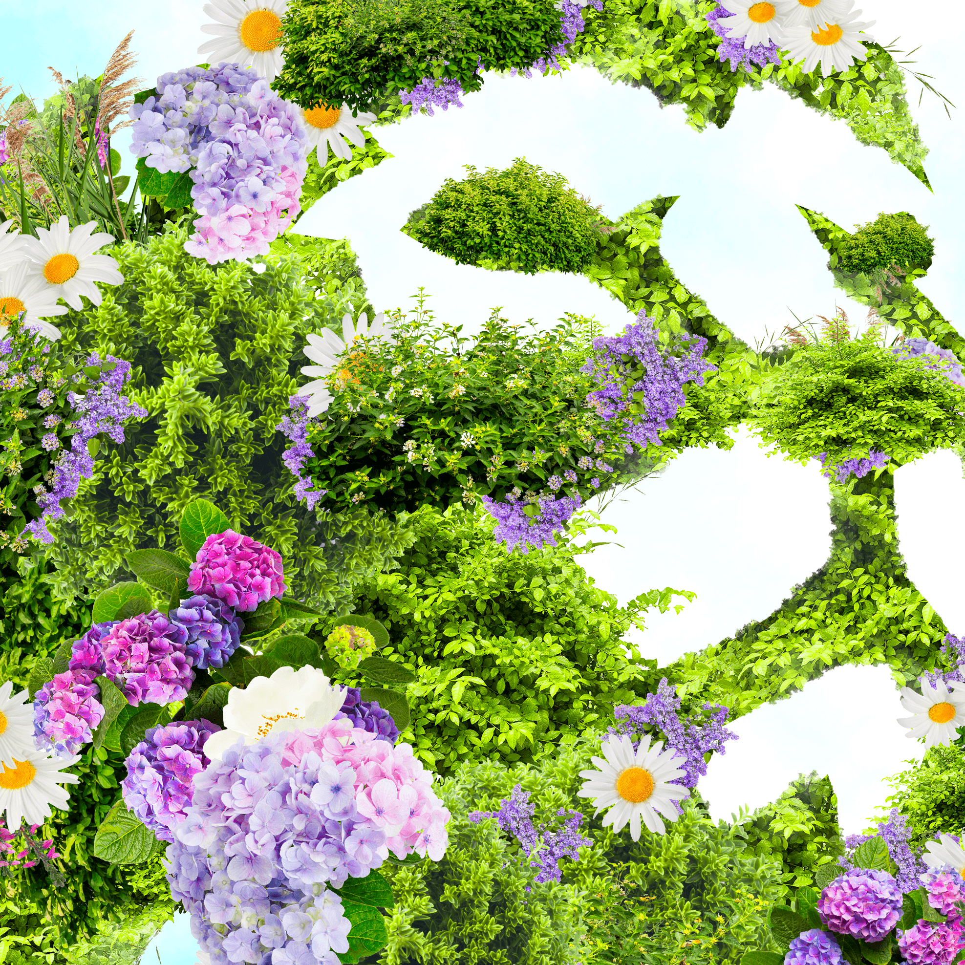 Bloom — style frame